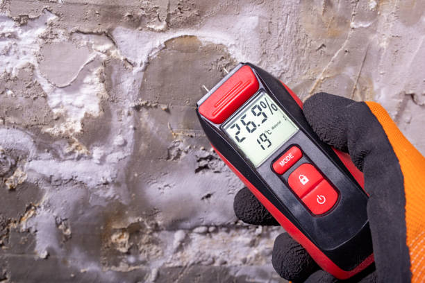 Best Residential Mold Removal  in Columbus Grove, OH