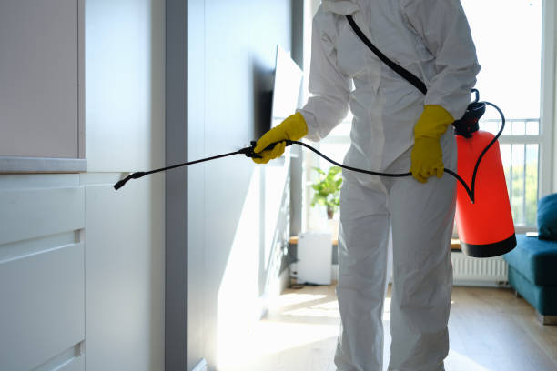 Best Mold Damage Repair  in Columbus Grove, OH